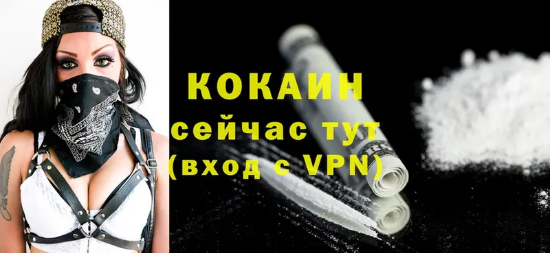 Cocaine Fish Scale  где продают наркотики  Южно-Сахалинск 